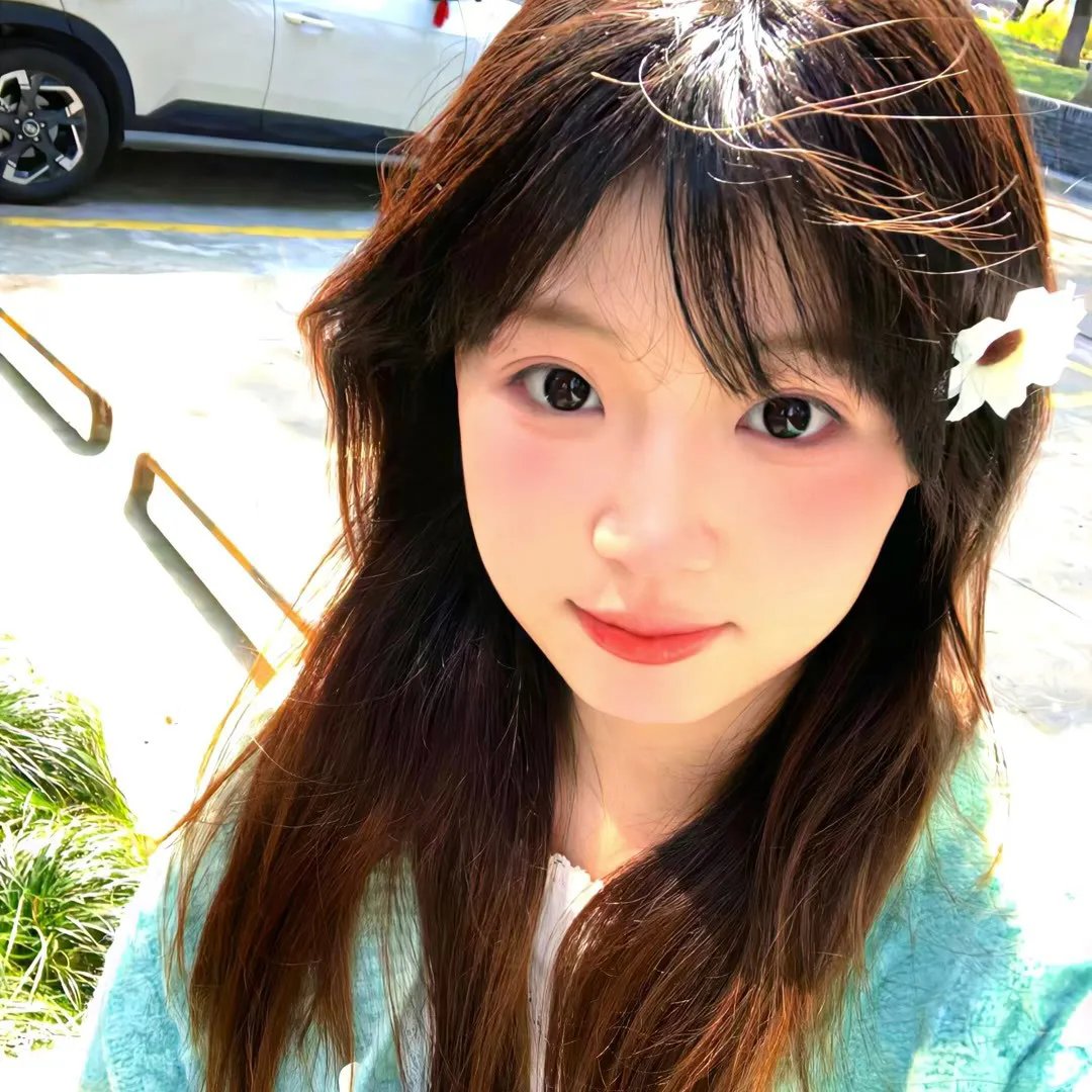 寻找神话之鸟